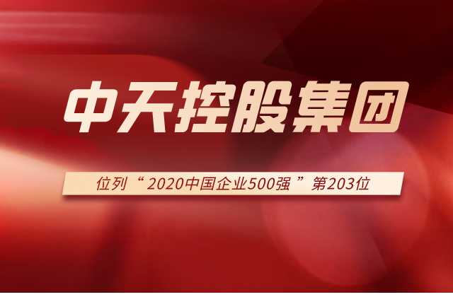 w66旗舰厅集团列2020中国企业500强第203位！